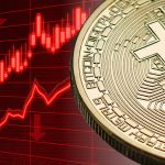 An Assessment of the Cryptocurrency Market